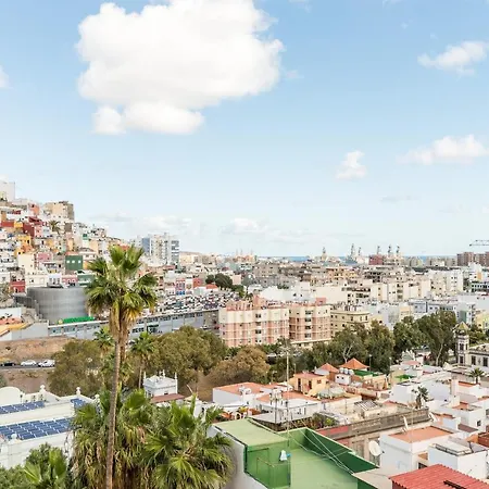 Duplex Blu Vegueta *